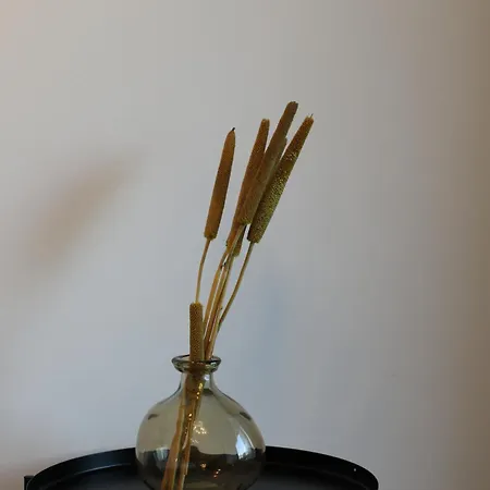 Lantgård Zambujal *