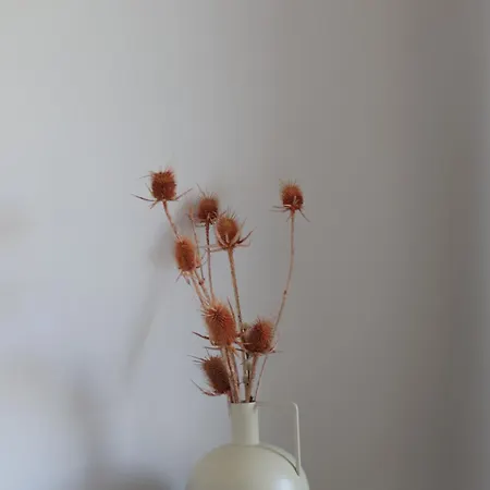 Farm stay Zambujal *