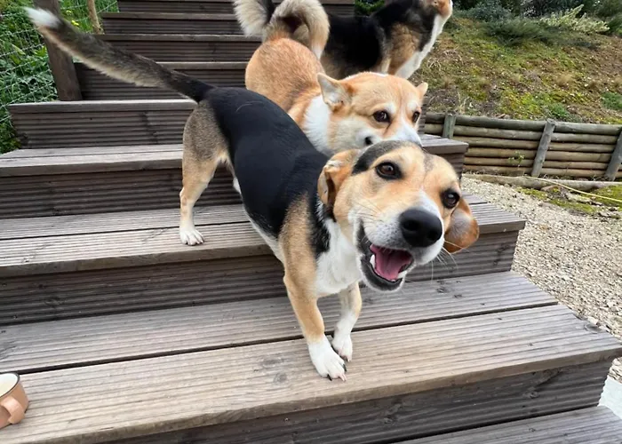 Zambujal Κατάλυμα σε φάρμα