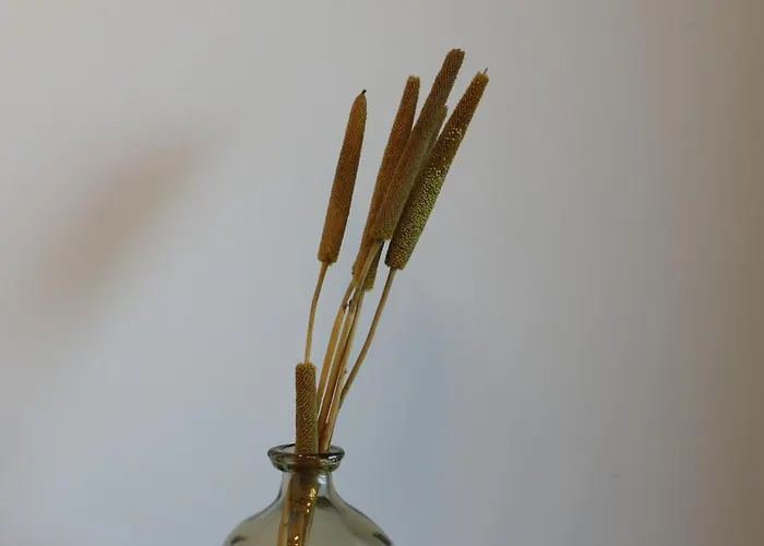 Κατάλυμα σε φάρμα Zambujal *